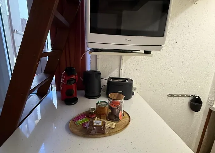 T2 Hyper Centre 200m Des Telecabines * Ax-les-Thermes