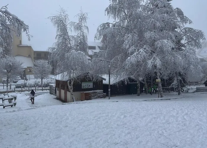 Apartment T2 Hyper Centre 200m Des Telecabines Ax-les-Thermes